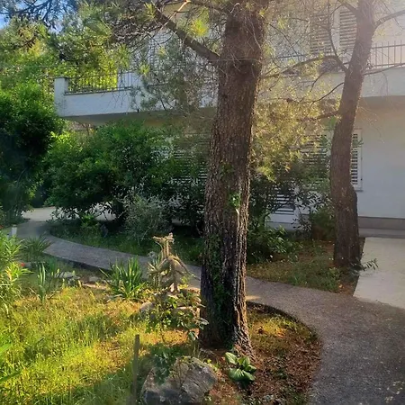 In - Insel Krk 45243